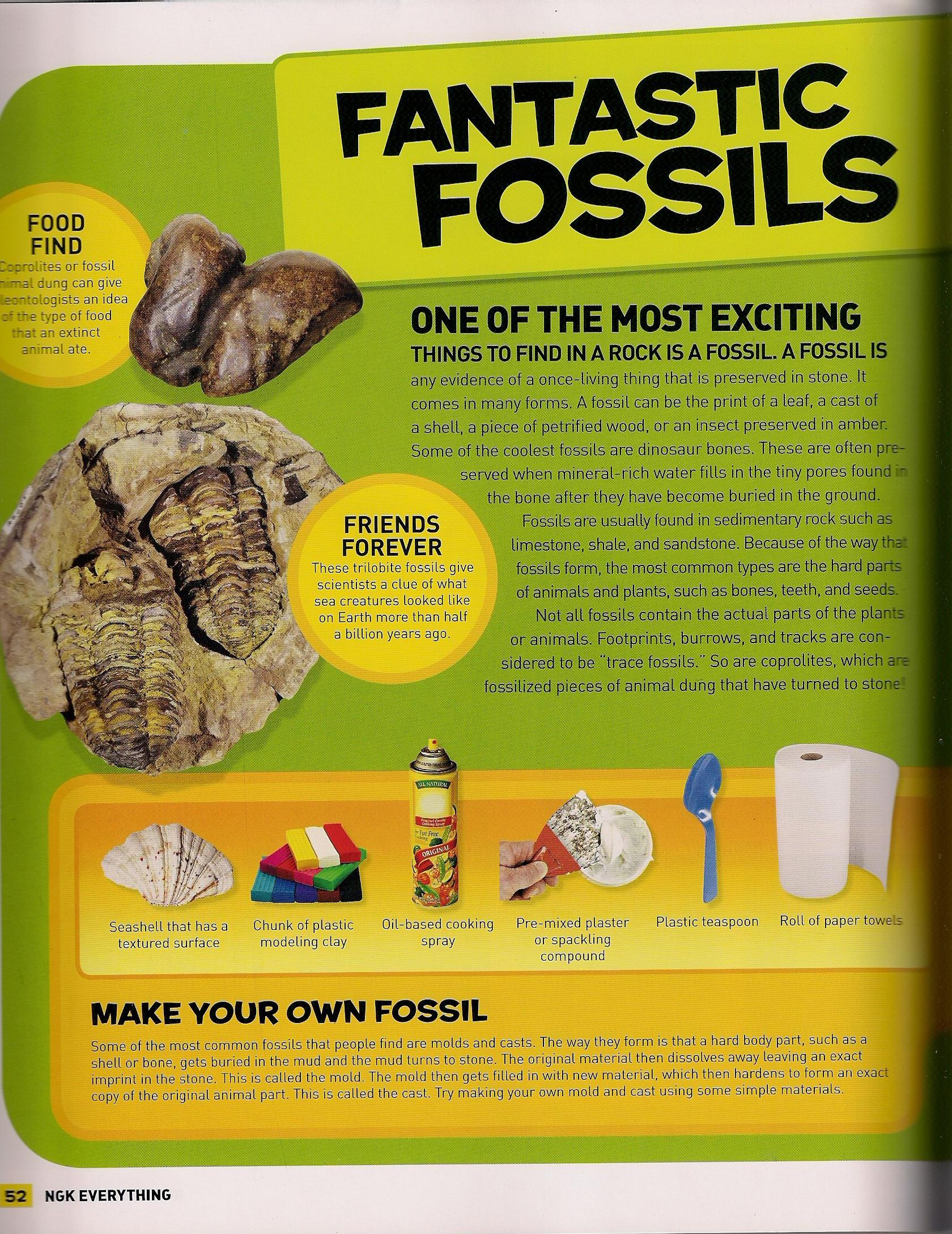 Fantastic Fossils